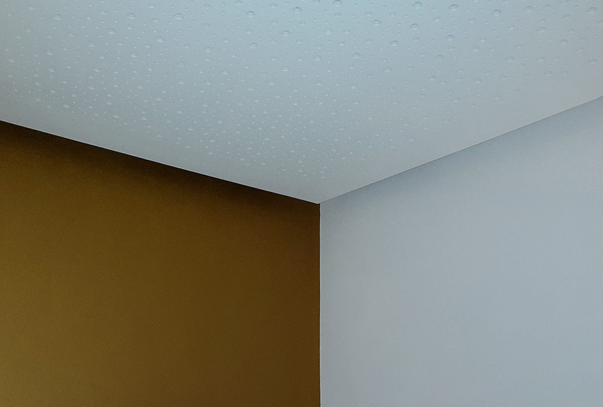 Villa Rosa Antrazit Bern Ktcolor Malermanufaktur Bern 10